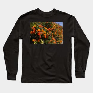 Flowers Lantana Long Sleeve T-Shirt